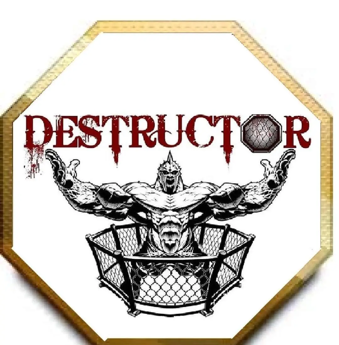 Destructor logo