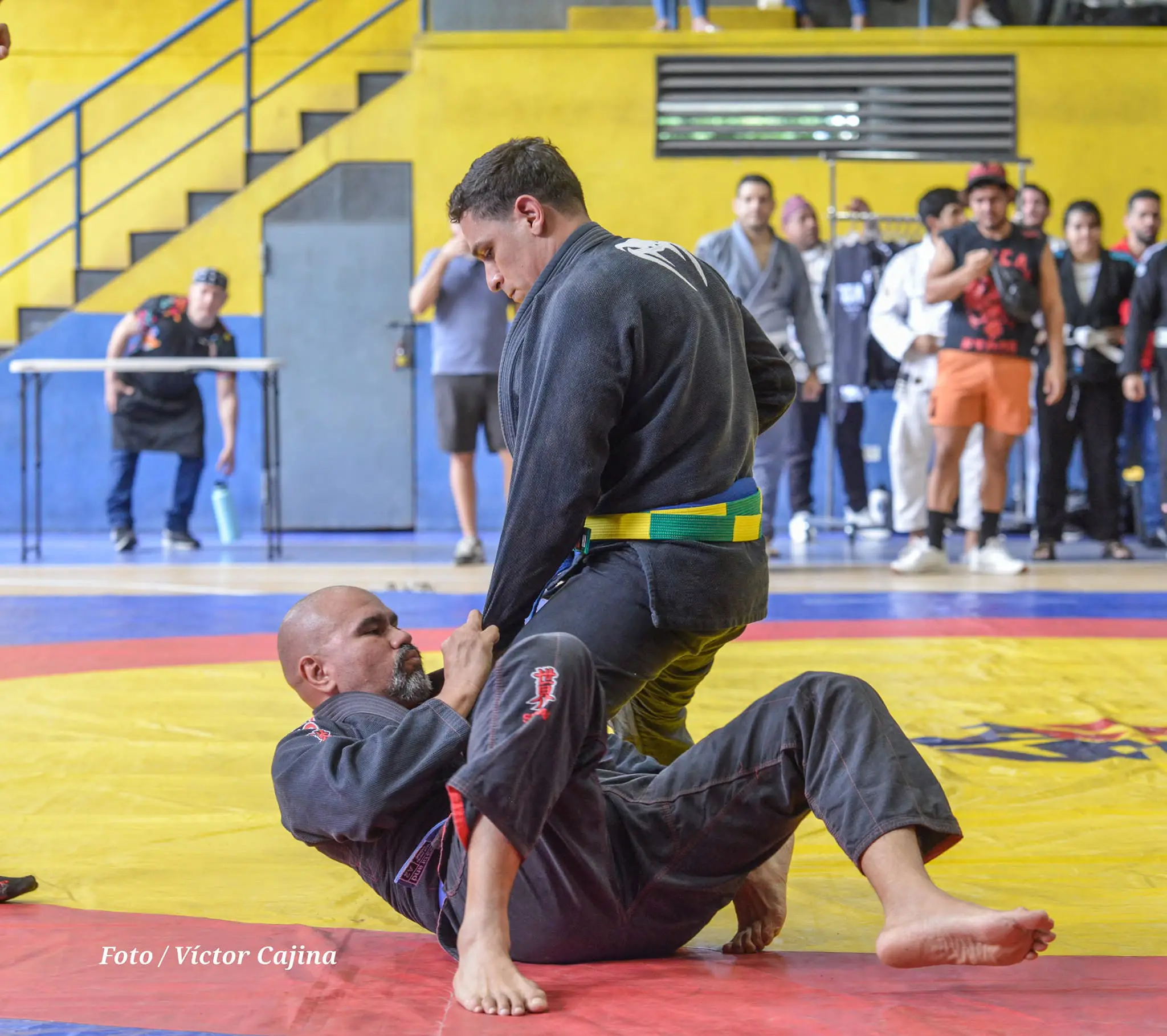 Jiu-Jitsu Brasileño hero
